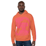 DTI Ec60 Orange Unisex Hoodie