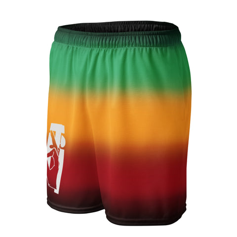 DTI Africa Blur mesh shorts