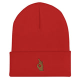 Descendants of The Island Classic Embroidered Cuffed Beanie